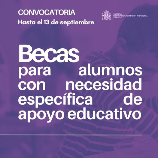 becas alumnos necesidad especifica apoyo educativo 2024